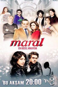 ����� / ���������