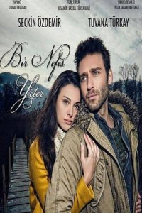 ������ ������ �������