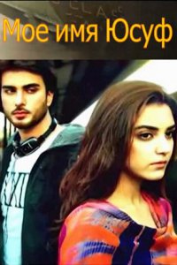 ���� ����� ����