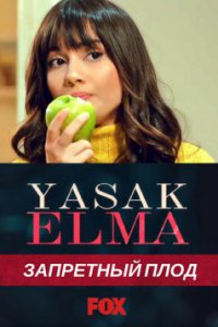 ��������� ����. ������� ������