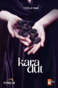 ������ ���������